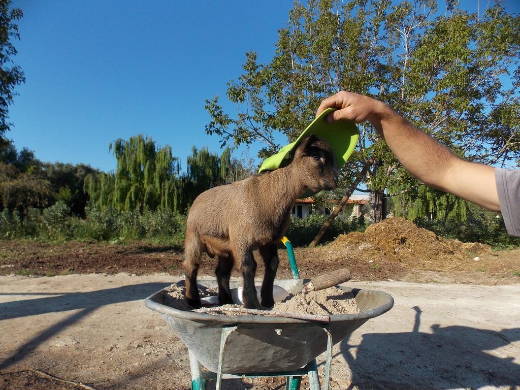 Agriturismo Le Tagliate Уджано ла Киеза Екстериор снимка